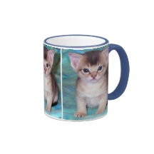 Tasses abyssiniennes de chaton