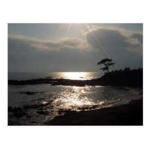 Tateishi Park Postcards