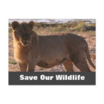 Tau Save Our Wildlife Postcard
