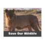 Tau Save Our Wildlife Postcard