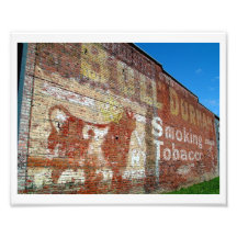 Taureau Durham Photographies D’art