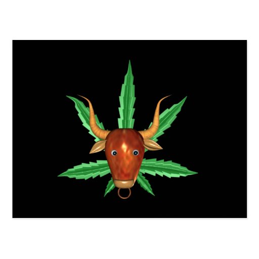 Taurus bull with cannabis leaf postcards