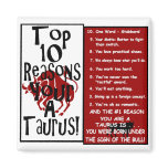 Taurus Magnets