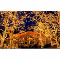 Tavern on the Green, Central Park, New York City, Cut Outs
