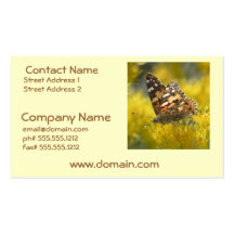 Tawny Emperer Butterfly  Business Card