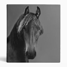 Tawny horse vinyl binders