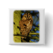 Tawny Owl 8T014D-17 Pins