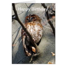 Tawny Owl Greeting Card