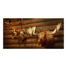 Taxidermy - The hunting lodge  Photo Cards