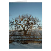 TAYLOR $B.A.K.$ Original Greeting Card