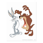 Taz and Bugs Bunny Not Even Flinching - Colour Post Cards