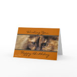 Taz HappyBirthday-customize Card