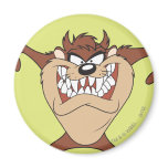 Taz posant 15 aimants