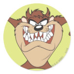 Taz posant 15 autocollants