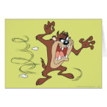 Taz posing 10 cards