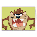 Taz posing 14 cards