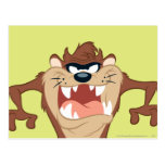 Taz posing 14 postcard