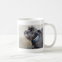 Taza Loosy