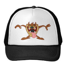Tazmanian Standing Mesh Hat