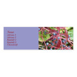 TBA WINNER! Fall - Herbst (Blue Fruit) Visitenkartenvorlagen