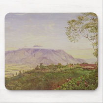 Tea Gathering in Mr Hoelle's plantation at mousepads