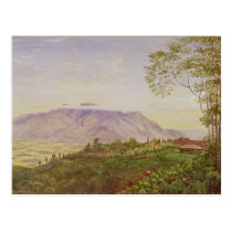 Tea Gathering in Mr Hoelle's plantation at postcards