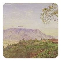 Tea Gathering in Mr Hoelle's plantation at stickers