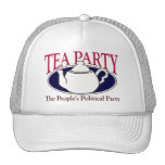 Tea Party Tax Day hat