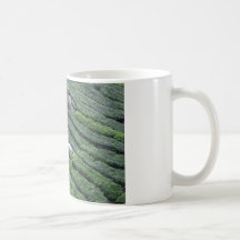 Tea plantation Cameron Highlands Coffee Mugs