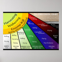 Tea Ray Processing Chart Poster