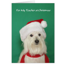 Teacher Christmas Card -- Cute Dog