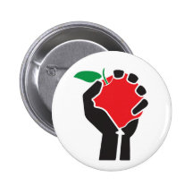 Teacher Solidarity Button (Standard)