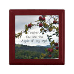 Teacher, you are the apple of my eye!