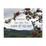 Teacher, you are the apple of my eye!
