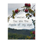 Teacher, you are the apple of my eye!