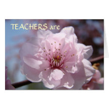 TEACHERS are EVERYDAY HEROES! Cards Thank You