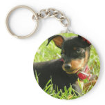 Teacup Chihuahua Keychain