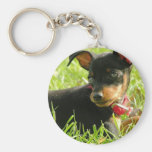 Teacup Chihuahua Keychain
