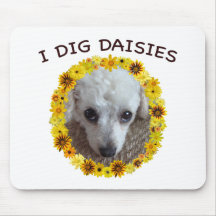 Teacup Poodle Dog Digs Daisies Mousepads