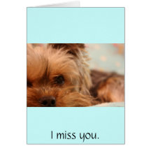 teacup yorkie puppy card