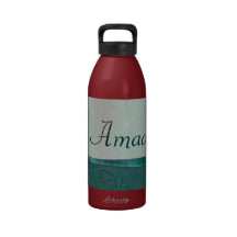 Teal Bejeweled Brocade Water Bottle