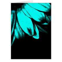 Teal Gerbera Daisy Cards