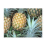 Teal, Green and Golden Hawaiian Pineapples Post Cards