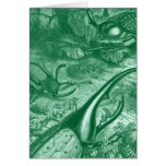 Teal Green Beetles Vintage Print Cards