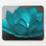 Teal Lotus