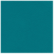 Teal Printed Pattern. Green Blue. Photo Cut Outs