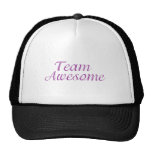 Team Awesome Trucker Hats