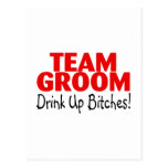 Team Groom Drink Up Bitches Post Cards