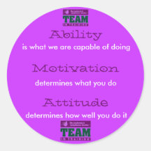 Team in Training Stickers