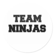 Team Ninjas Round Sticker